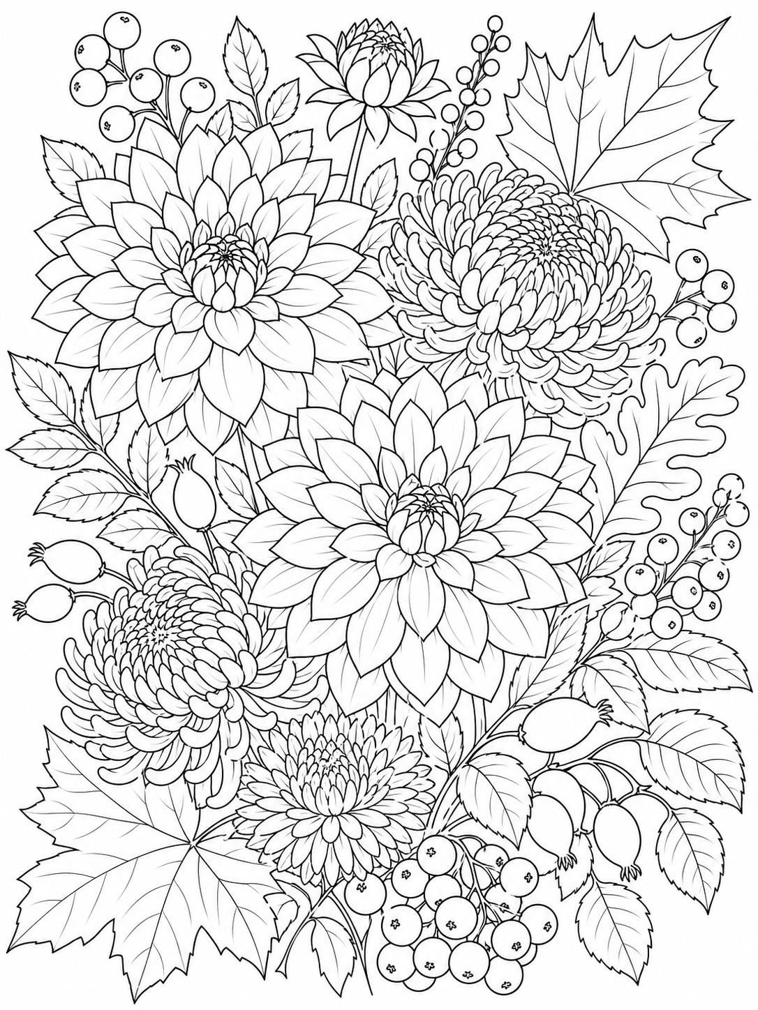 Dahlias And Chrysanthemums — flower coloring pages for adults